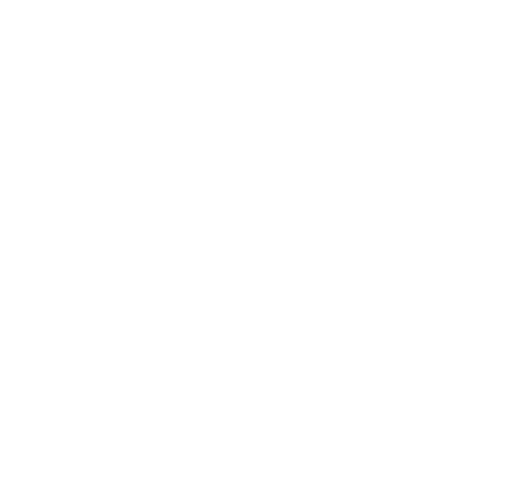 The Castle